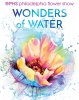 Philadelphia Flower Show - Wonders of Water