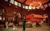 Anheuser Busch Brewery - Historical Clydesdale Stable