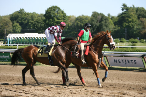 NY_Saratoga-horses_CreditDennisWDonohue-shutterstock_18342958